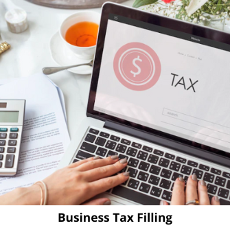 Business Tax return filing